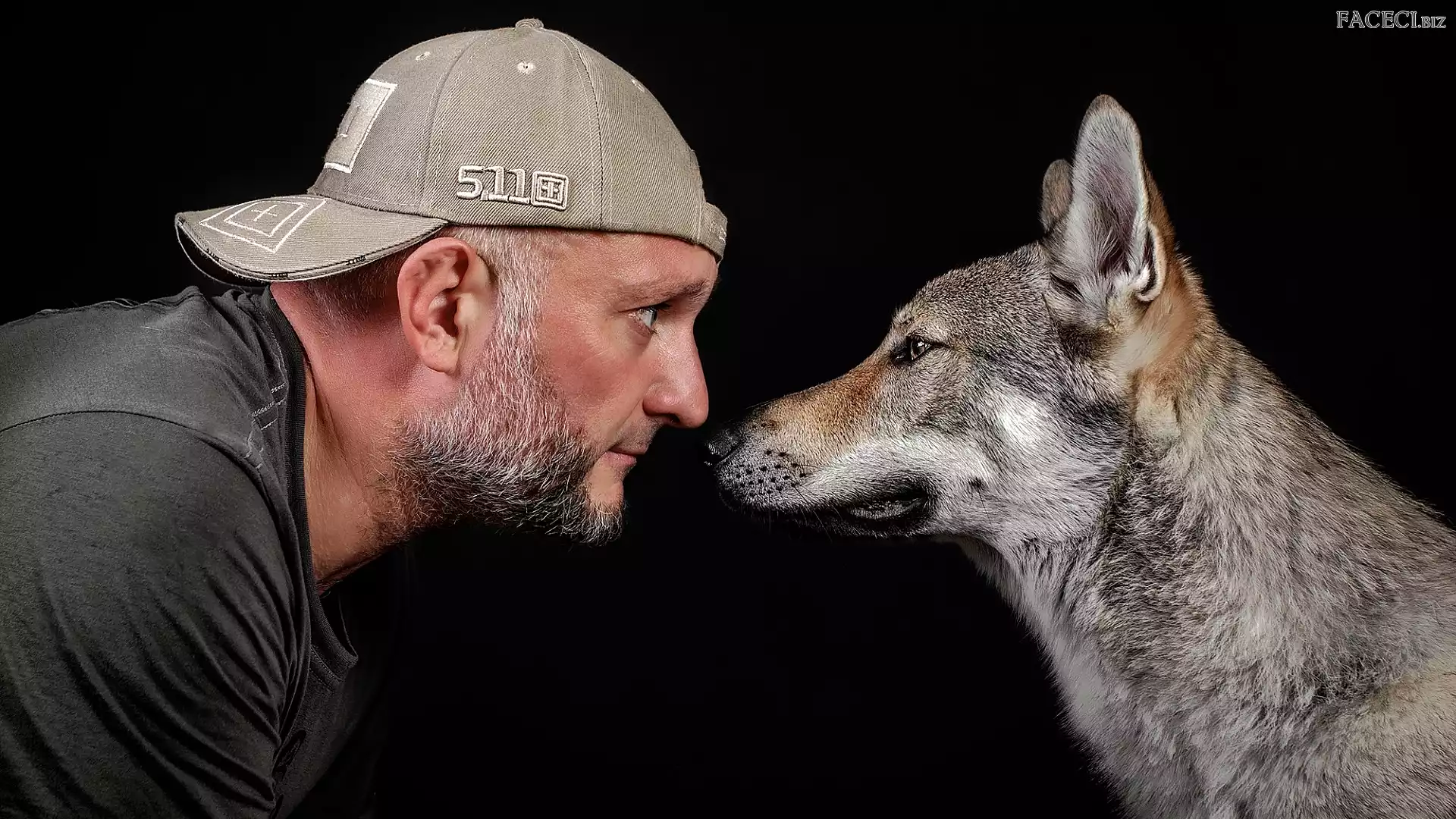 Pies, Tło, Wilczak czechosłowacki, Mężczyzna, Czarne, Profil, Broda, Czapka, Spojrzenie
